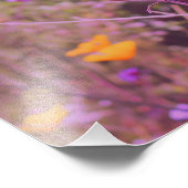 Élargissement de la photo de Verbena (Coin)