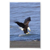 Élargissement de la photo papier photo Premium Sat (Devant)