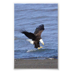 Élargissement de la photo papier photo Premium Sat