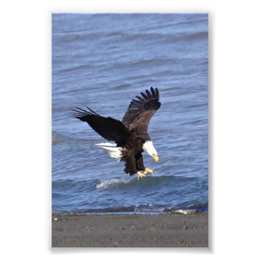 Élargissement de la photo papier photo Premium Sat (Devant)