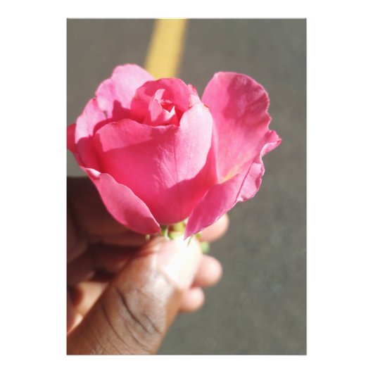 Élargissement de la photo rose (Devant)
