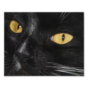 Élargissement noir de la photo