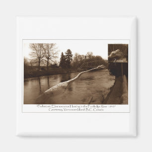 Elasmosaurus Gifts Magneet