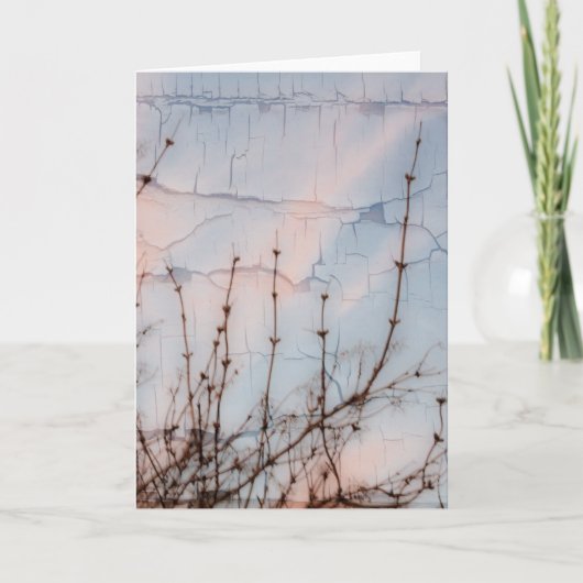 Elder Branches Silhouette Kaart (Voorkant)