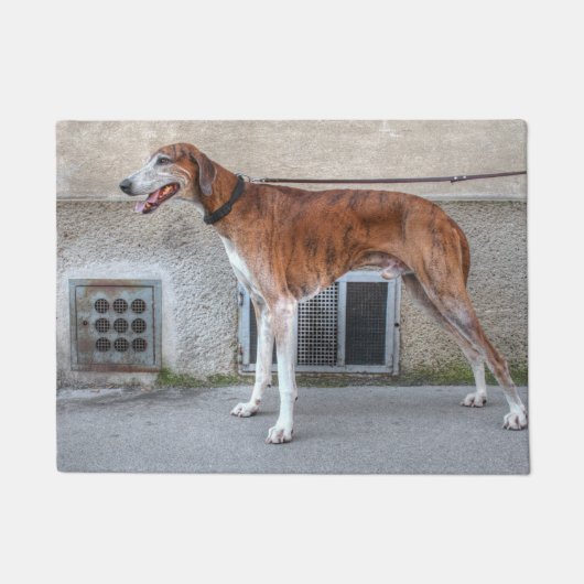 Elder Brindle Greyhound Deurmat (Voorkant)