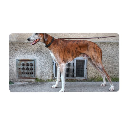 Elder Brindle Greyhound Etiket (Voorkant)