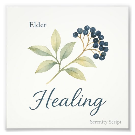Elder — Healing Foto Afdruk (Voorkant)