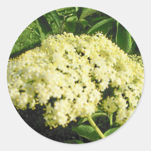 Elderberry Blooms Stickers