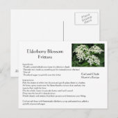 Elderberry Blossom Fritters Briefkaart (Voorkant / Achterkant)