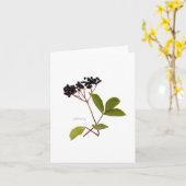 Elderberry Kaart (Gele Bloem)