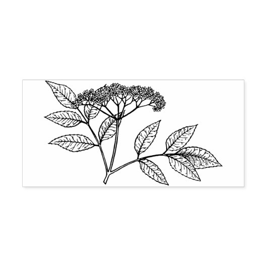 Elderberry plant  Rubber stamp Rubberstempel (Afrduk)