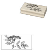 Elderberry plant  Rubber stamp Rubberstempel (Gestempeld)