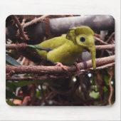 Elebird mousepad muismat (Voorkant)