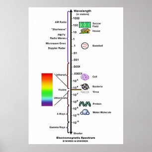 Electromagnetic Spectrum (Wavelengths Comparison) Poster