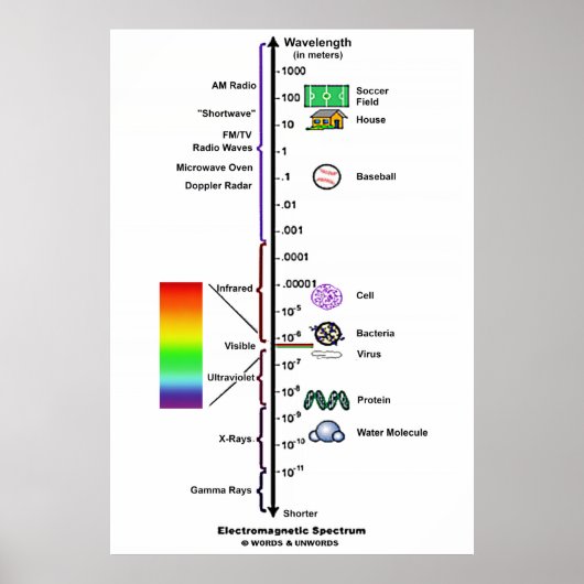 Electromagnetic Spectrum (Wavelengths Comparison) Poster (Voorkant)