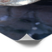 Electrum stater, c.600 BC Poster (Hoek)