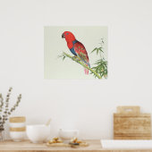 Electus Parrot op een bamboevloed Poster (Keuken)