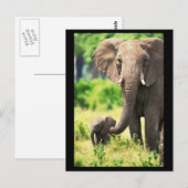 Elefant en Baby Briefkaart (Voorkant / Achterkant)