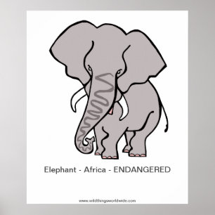 Elefant - poster