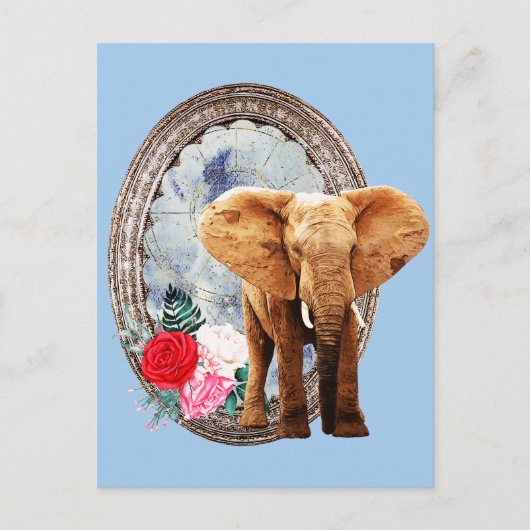 Elefant, Roos en Lijst Briefkaart (Voorkant)
