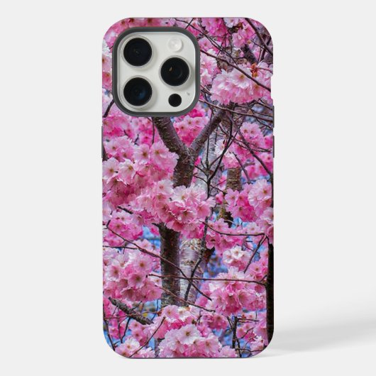Élégance des Fleurs de Sakura (Verso)