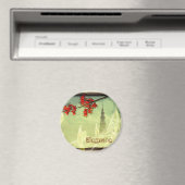 Elegance Magneet (Insitu (Vaatwasser))