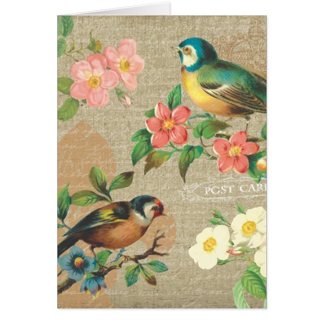 Élégance minable vintage rustique d'oiseaux et de (Devant)
