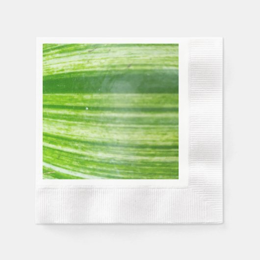 Élégance naturelle : serviettes en papier (Devant)