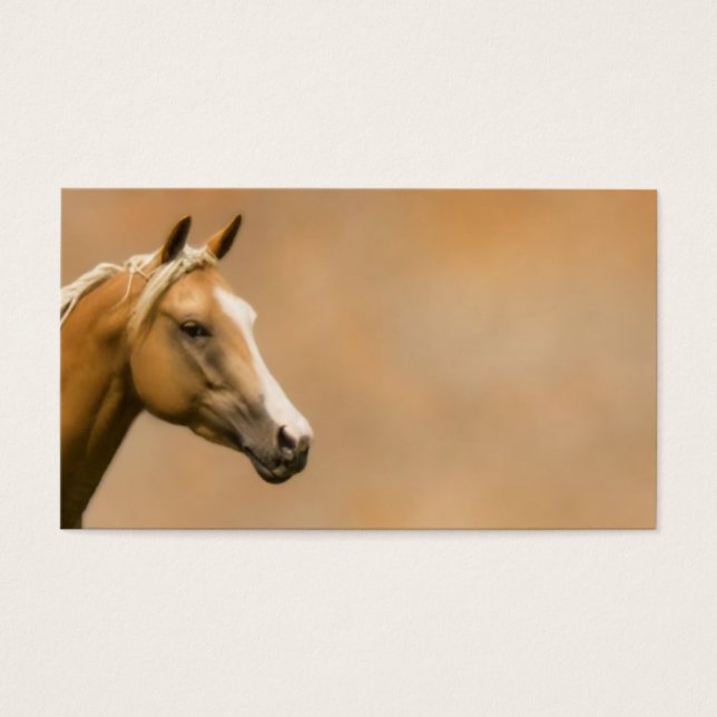 Élégance Palomino (Devant)