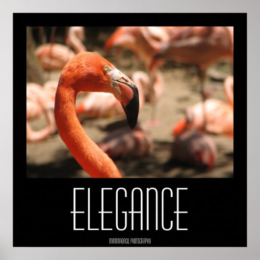 Elegance Poster ! (Devant)