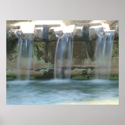 Elegance Poster (Voorkant)