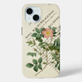 Élégance sauvage : Rosa malmundariensis coque ipho (Verso)