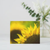 Élégance tournesol carte postale (Debout devant)