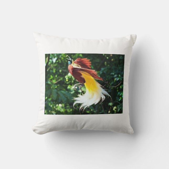 Élégance tropicale - Oiseau de paradis Oreiller (Recto)