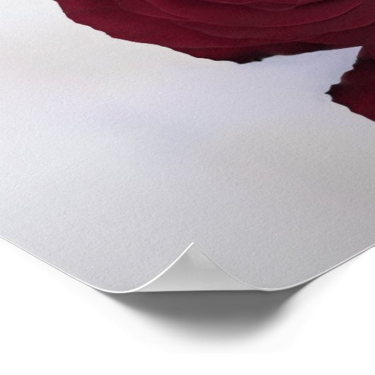 Elegant 10 Tafel Roos-schoeisel Poster (Hoek)