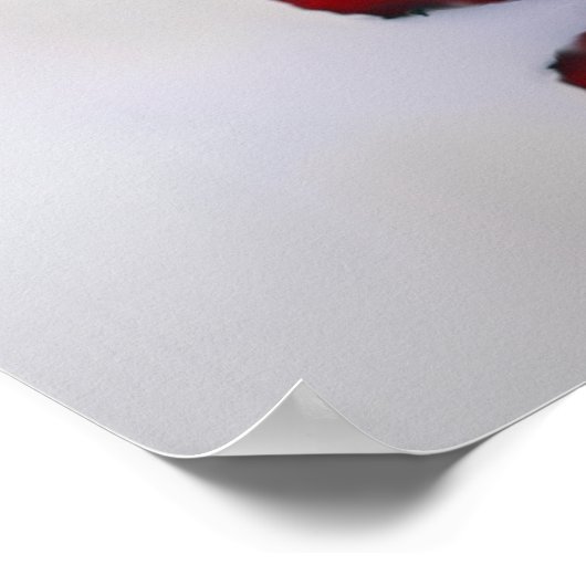 Elegant 18 Tabel Rood roodroodbruiningsprestatiesc Poster (Hoek)