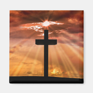 Élégant aimant croisé