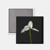 Élégant aimant Rose (Recto/Verso)