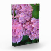 Elegant and Rustic Hortensia Hydrangea macrophylla Fotoblokken (Links)