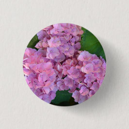 Elegant and Rustic Hortensia Hydrangea macrophylla Ronde Button 3,2 Cm