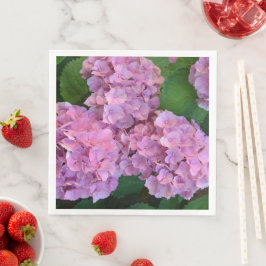 Elegant and Rustic Hortensia Hydrangea macrophylla Servet