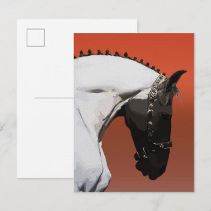 Elegant Andalusisch paard – Majestueuze ruiterkuns Briefkaart