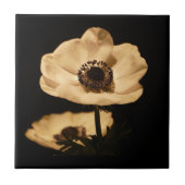 Elegant Anemone Flower Black Tegeltje (Voorkant)