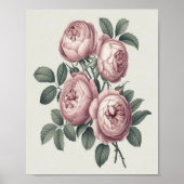 Élégant anglais Vintage Blooming Rose Poster (Devant)