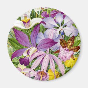 Elegant /Antiek Orchids Magnet Magneet