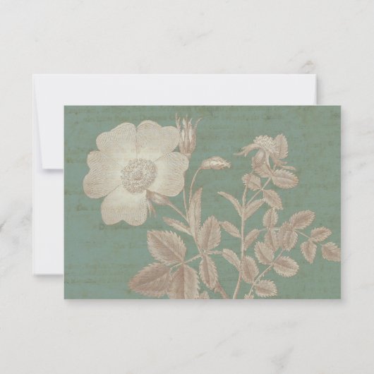 Elegant Antiek Roos Verdigris Patina RSVP (Achterkant)