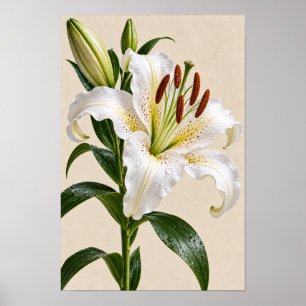 Élégant Art Mural Floral Lys Blanc Vintage – Botan