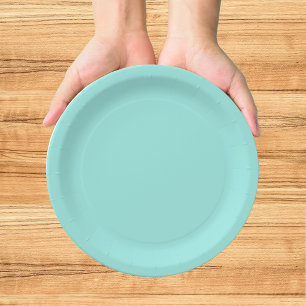 Elegant Baby & Co Turquoise Baby Shower Papieren Bordje