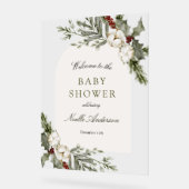 Elégant Baby shower d'Arche Florale d'hiver Bienve (Angle)