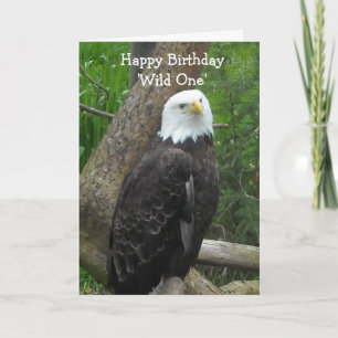 Elegant Bald Eagle Kaart